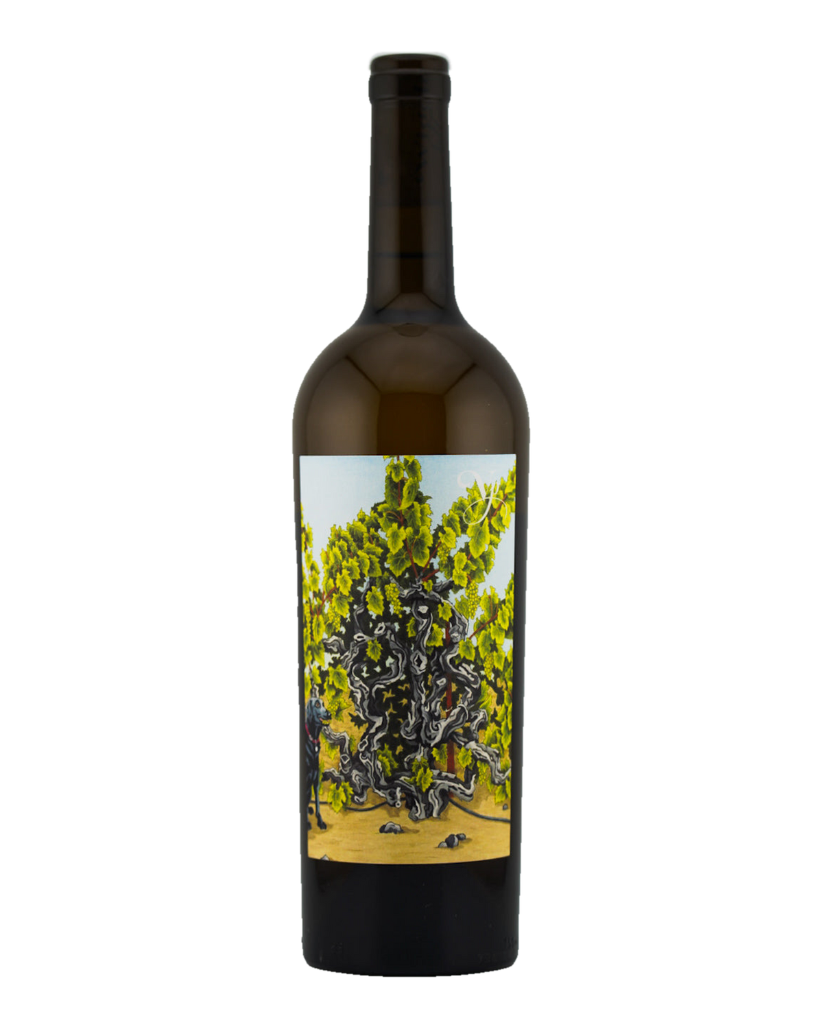 Bottle of Violet's Paradise Semillon, Monte Rosso Vineyard, Sonoma Valley, California 2023