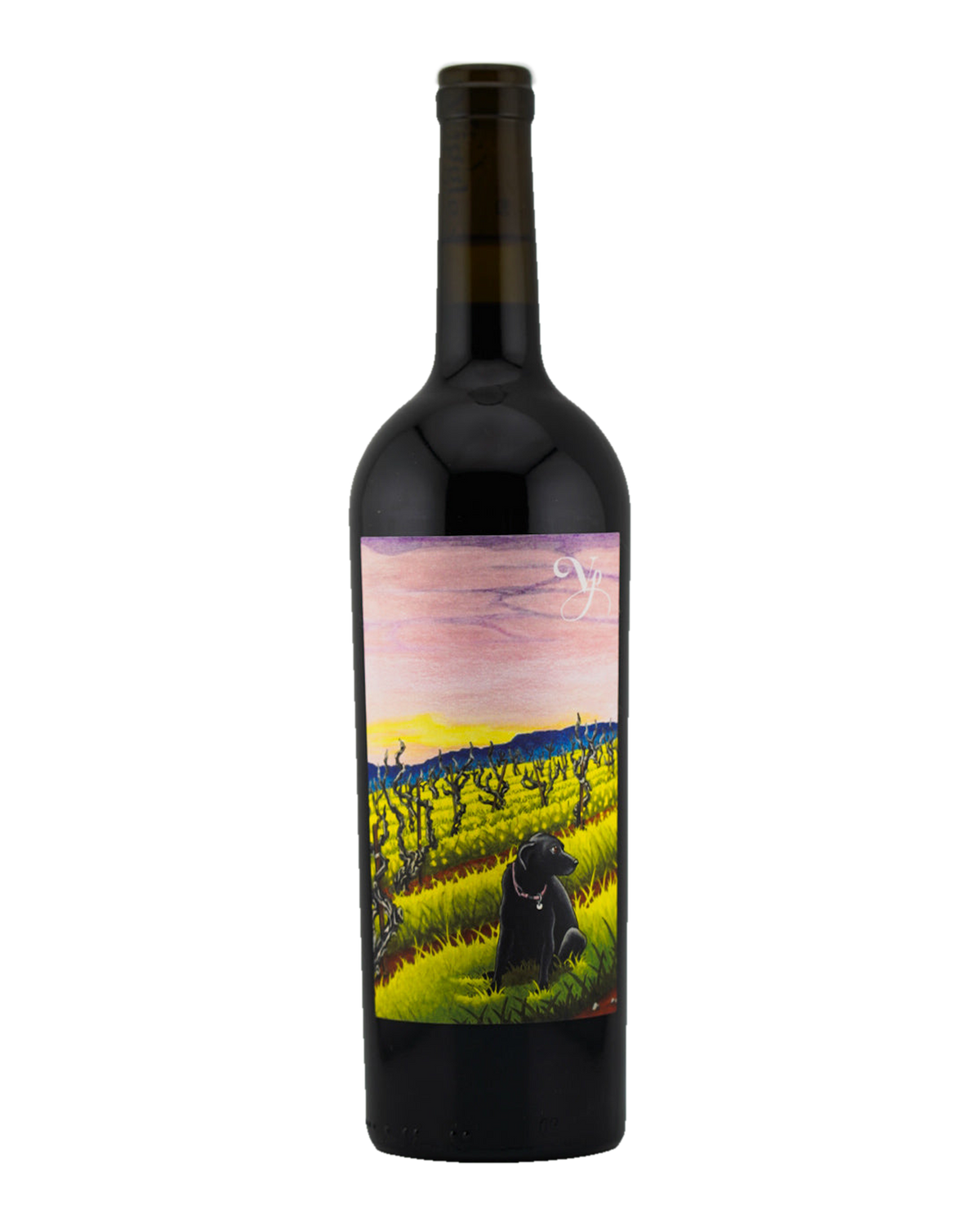Bottle of Violet's Paradise Zinfandel, Monte Rosso Vineyard, Sonoma Valley, California 2023